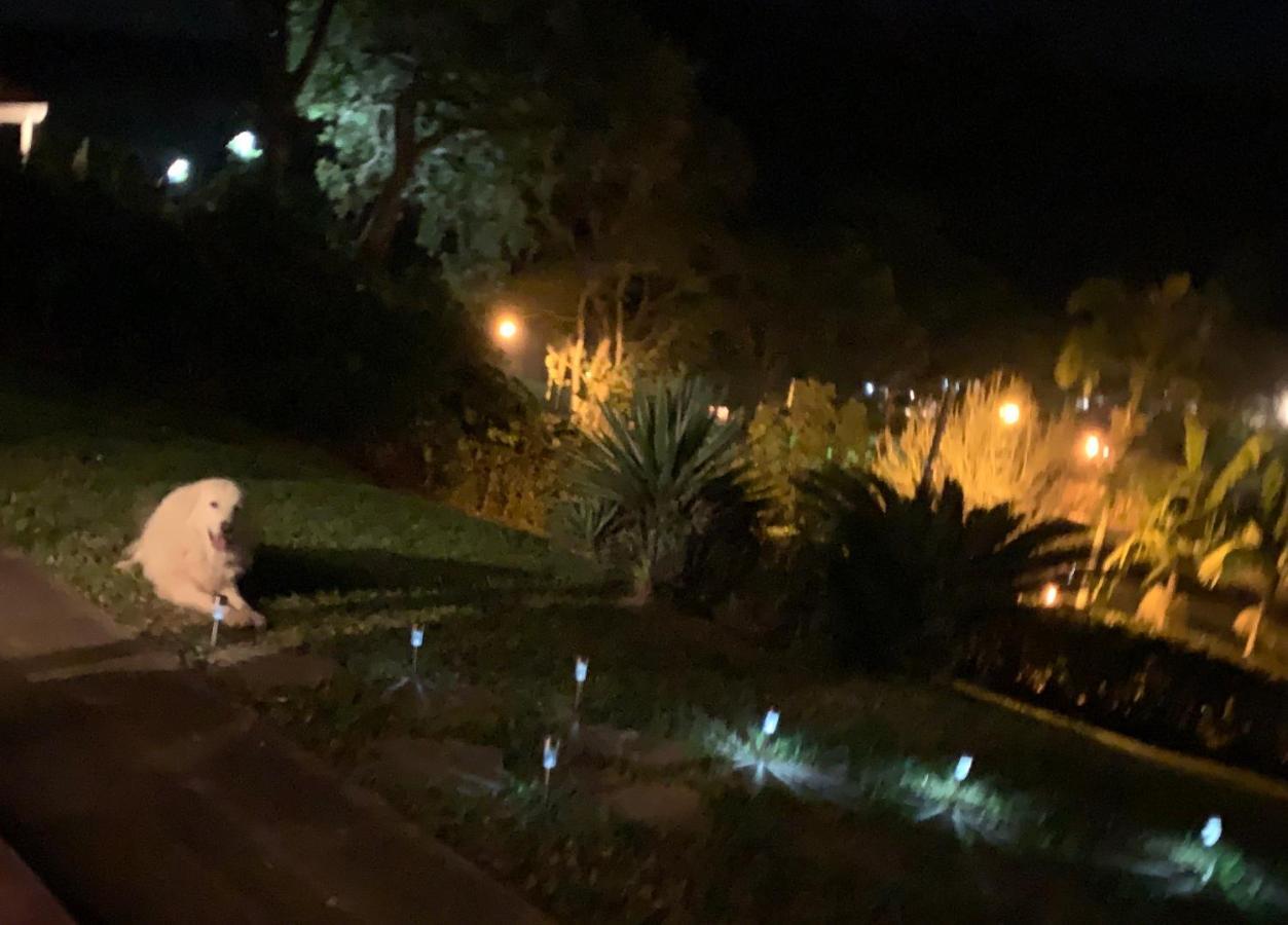 Villa Natal e ano novo e férias na Casa maravilhosa da serra casa inteira à Teresópolis Extérieur photo