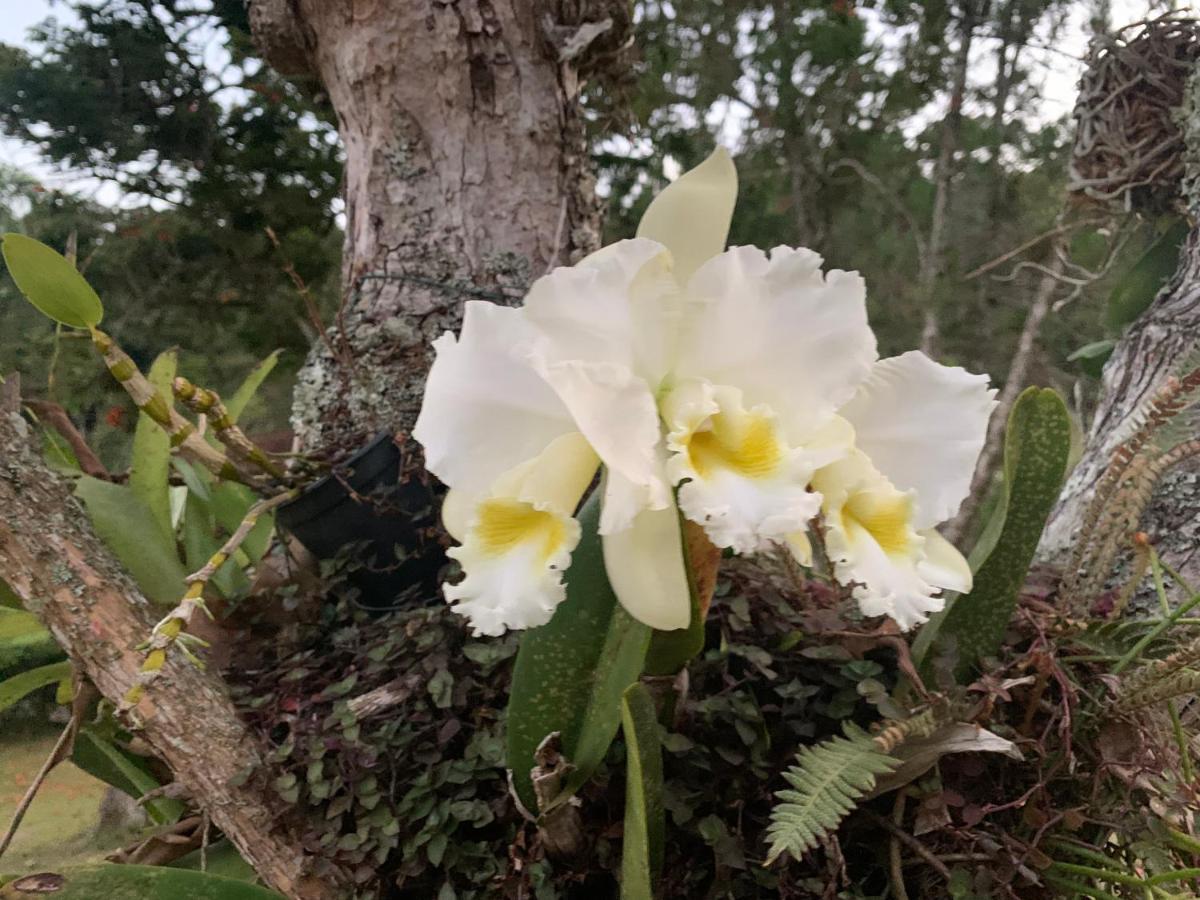 Villa Natal e ano novo e férias na Casa maravilhosa da serra casa inteira à Teresópolis Extérieur photo